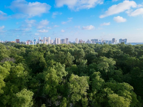 Énergie renouvelable : des solutions pour contrôler vos coûts