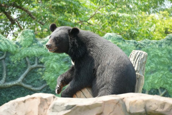 Stand salon professionnel : créez un impact mémorable !